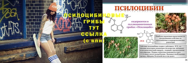 прущая мука Новодвинск